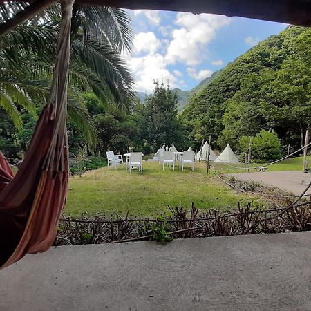 Nature Retreat - Laurel Forest Seixal  Exterior photo