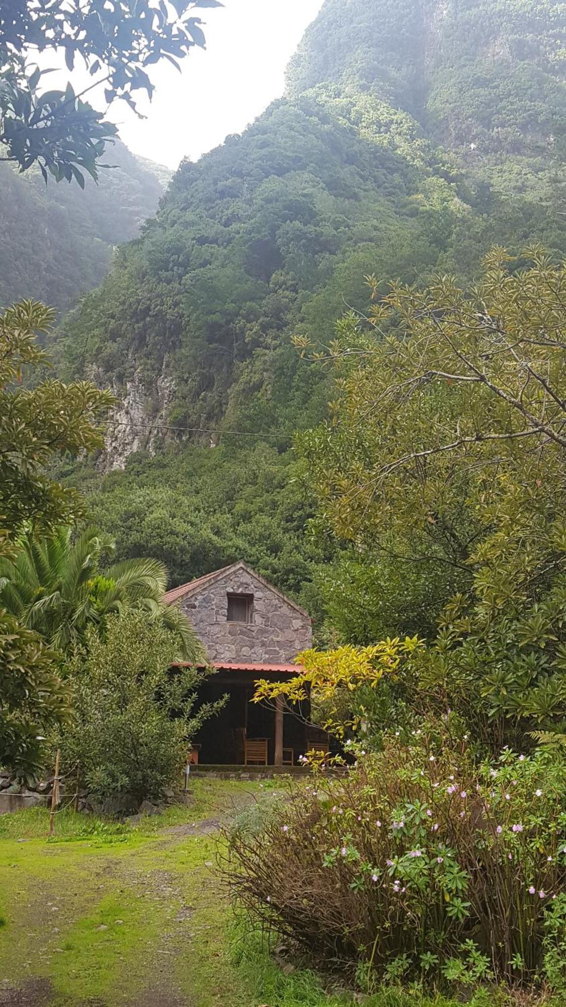 Nature Retreat - Laurel Forest Seixal  Exterior photo